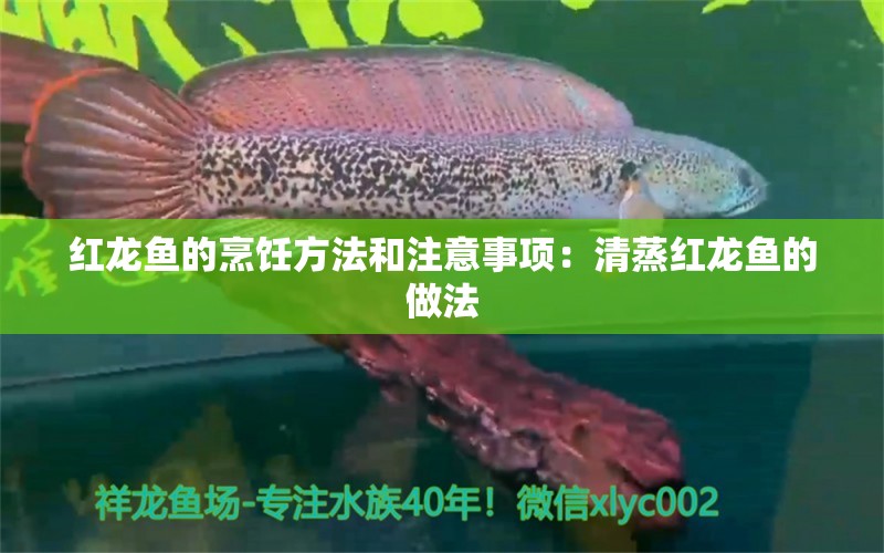 红龙鱼的烹饪方法和注意事项：清蒸红龙鱼的做法