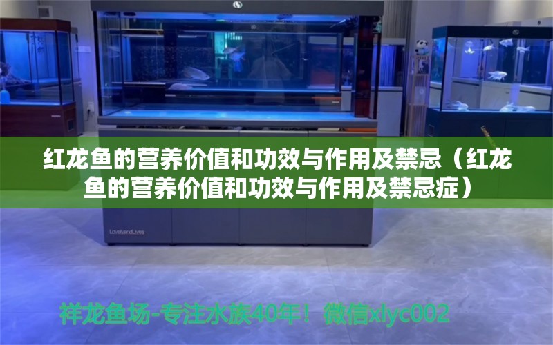 红龙鱼的营养价值和功效与作用及禁忌（红龙鱼的营养价值和功效与作用及禁忌症） 龙鱼百科