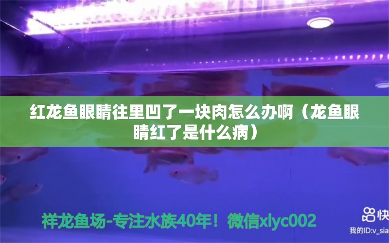 红龙鱼眼睛往里凹了一块肉怎么办啊（龙鱼眼睛红了是什么病） 龙鱼百科