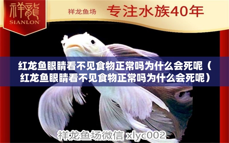 红龙鱼眼睛看不见食物正常吗为什么会死呢（红龙鱼眼睛看不见食物正常吗为什么会死呢）