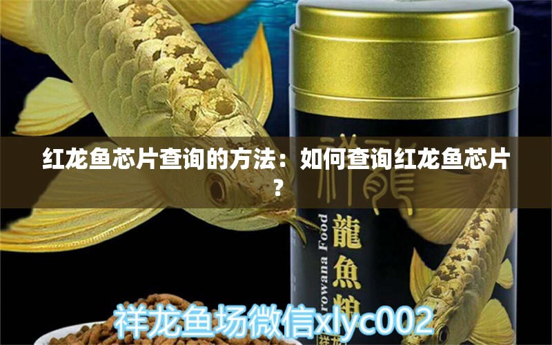 红龙鱼芯片查询的方法：如何查询红龙鱼芯片？ 龙鱼百科 第2张