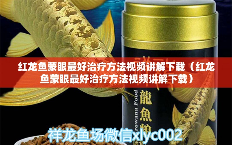 红龙鱼蒙眼最好治疗方法视频讲解下载（红龙鱼蒙眼最好治疗方法视频讲解下载） 龙鱼百科