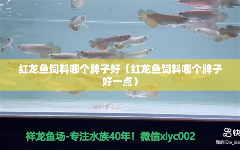 红龙鱼饲料哪个牌子好（红龙鱼饲料哪个牌子好一点） 红龙鱼鱼粮饲料