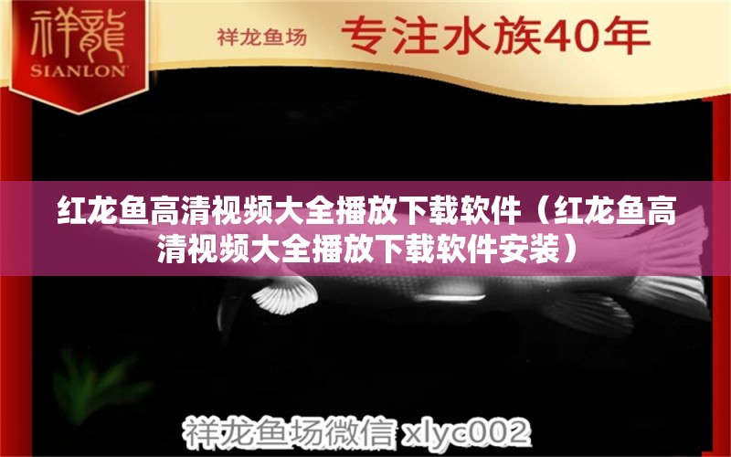 红龙鱼高清视频大全播放下载软件（红龙鱼高清视频大全播放下载软件安装）