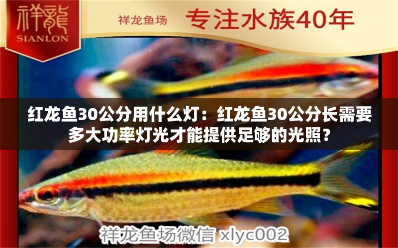 红龙鱼30公分用什么灯：红龙鱼30公分长需要多大功率灯光才能提供足够的光照？