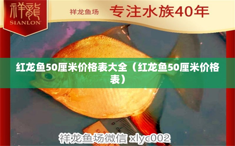 红龙鱼50厘米价格表大全（红龙鱼50厘米价格表）