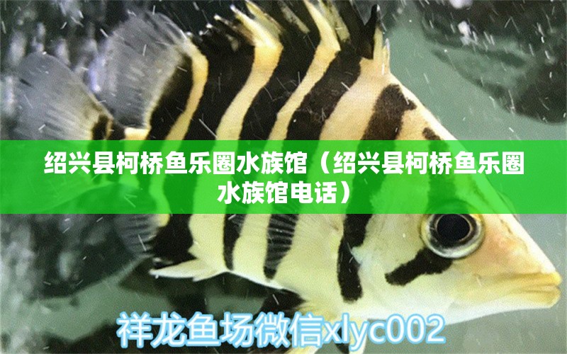 绍兴县柯桥鱼乐圈水族馆（绍兴县柯桥鱼乐圈水族馆电话） 全国水族馆企业名录