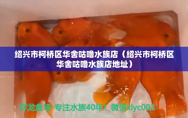 绍兴市柯桥区华舍咕噜水族店（绍兴市柯桥区华舍咕噜水族店地址）