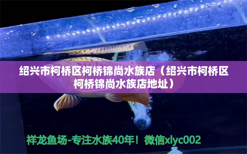 绍兴市柯桥区柯桥锦尚水族店（绍兴市柯桥区柯桥锦尚水族店地址）