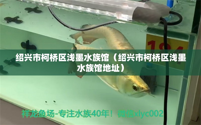 绍兴市柯桥区浅墨水族馆（绍兴市柯桥区浅墨水族馆地址）