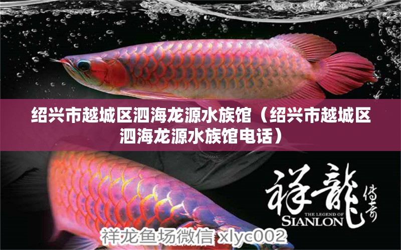 绍兴市越城区泗海龙源水族馆（绍兴市越城区泗海龙源水族馆电话） 全国水族馆企业名录