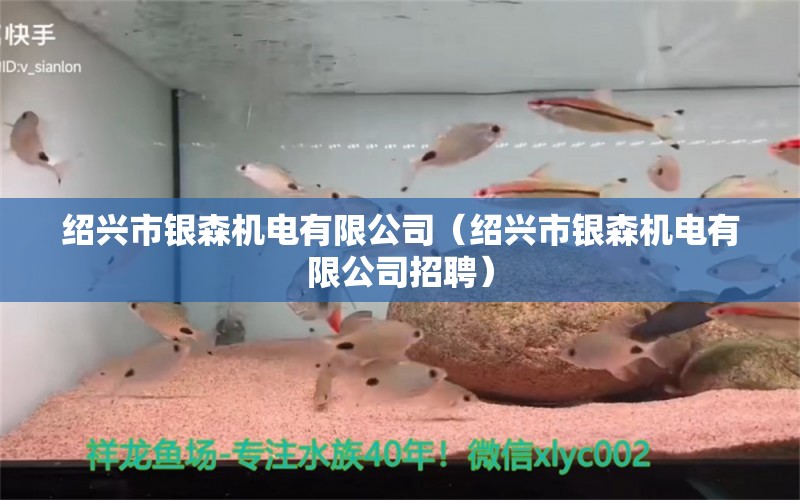 绍兴市银森机电有限公司（绍兴市银森机电有限公司招聘） 全国水族馆企业名录