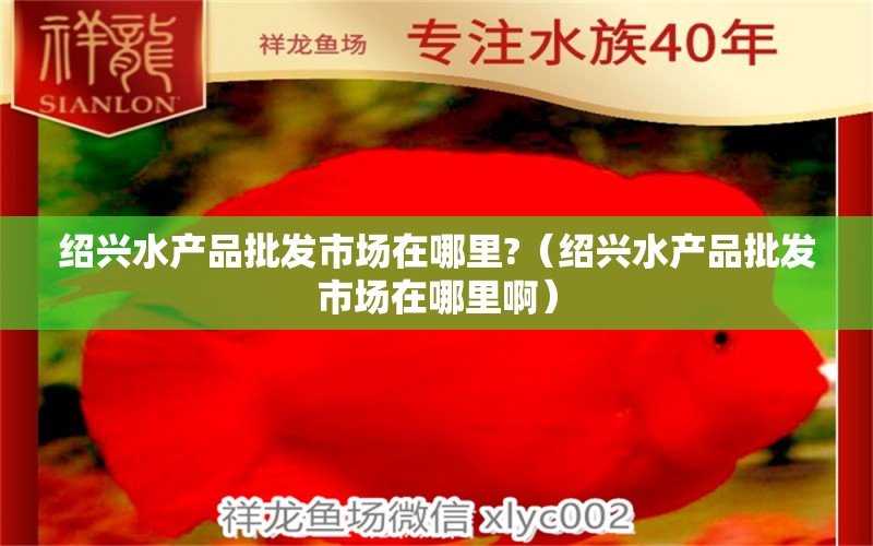 绍兴水产品批发市场在哪里?（绍兴水产品批发市场在哪里啊） 广州龙鱼批发市场