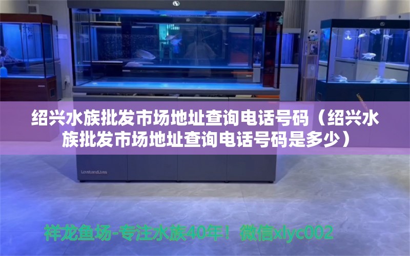 绍兴水族批发市场地址查询电话号码（绍兴水族批发市场地址查询电话号码是多少）