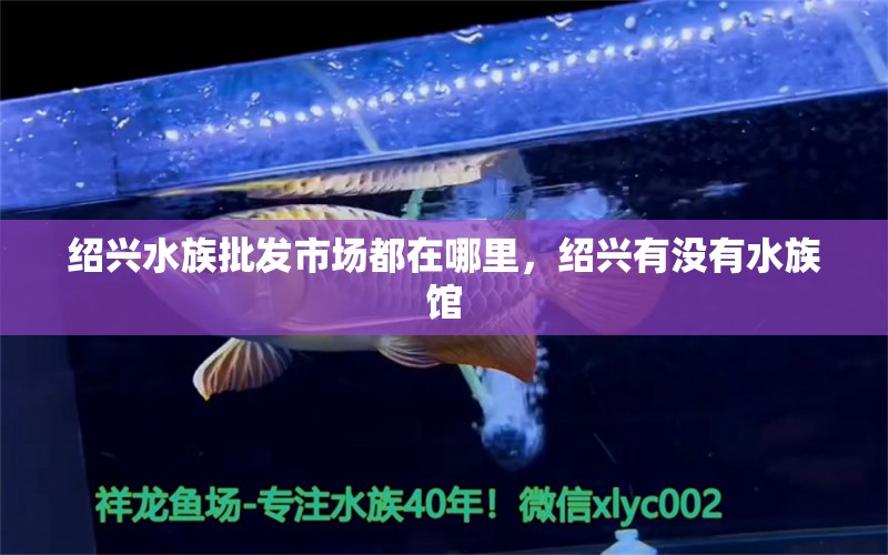 绍兴水族批发市场都在哪里，绍兴有没有水族馆