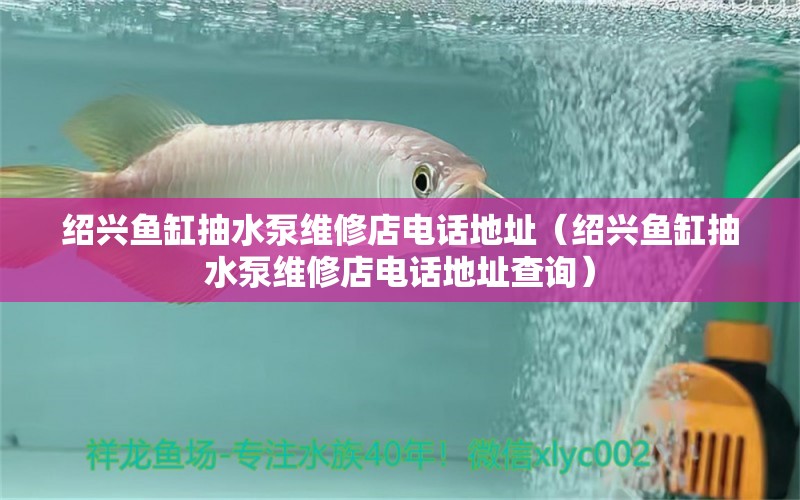 绍兴鱼缸抽水泵维修店电话地址（绍兴鱼缸抽水泵维修店电话地址查询）