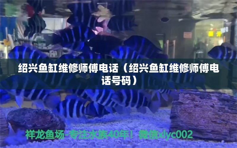 绍兴鱼缸维修师傅电话（绍兴鱼缸维修师傅电话号码）