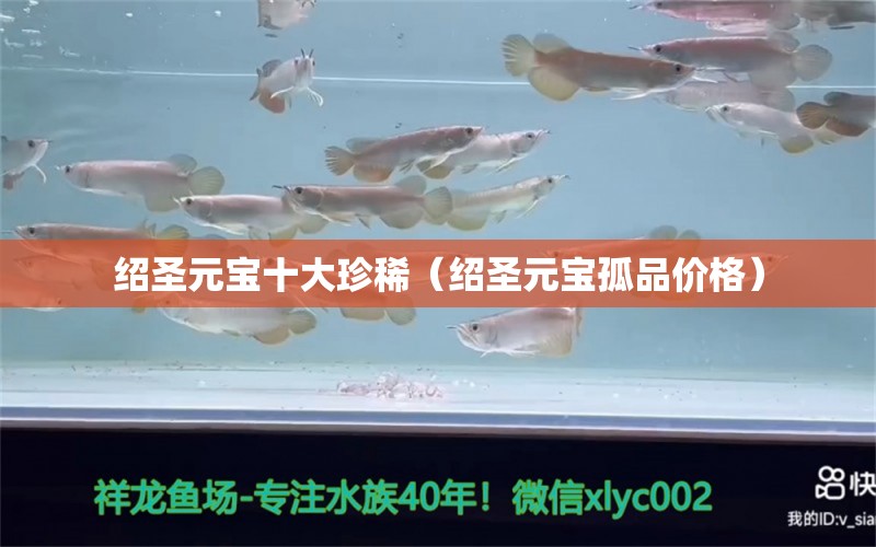 绍圣元宝十大珍稀（绍圣元宝孤品价格） 鱼缸等水族设备 第1张