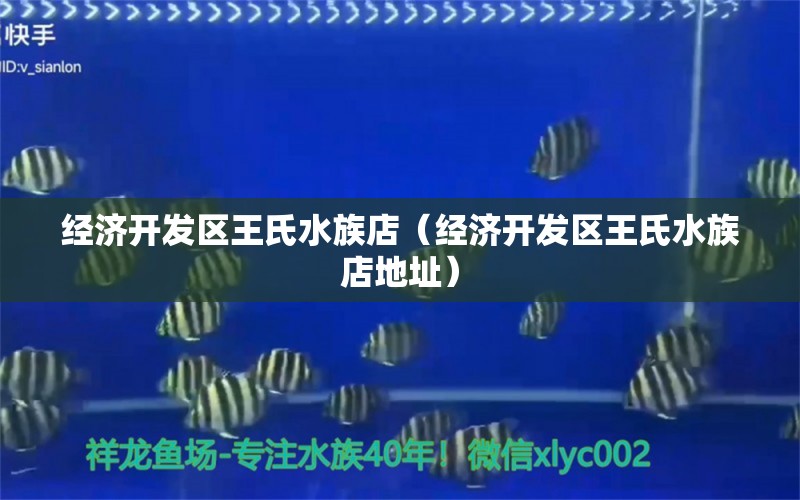 经济开发区王氏水族店（经济开发区王氏水族店地址）