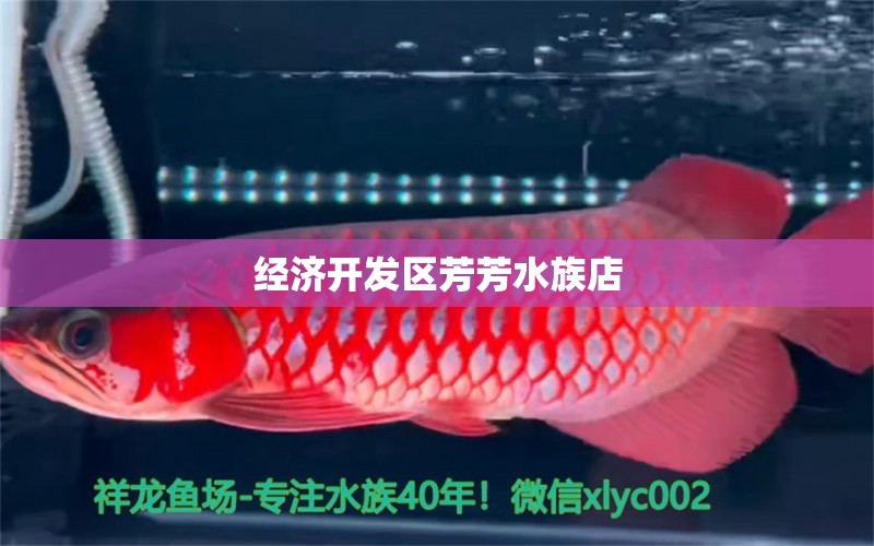 经济开发区芳芳水族店