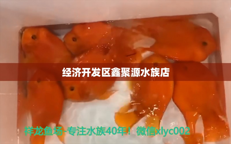 经济开发区鑫聚源水族店