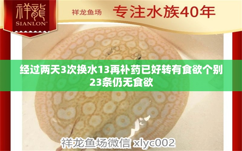 经过两天3次换水13再补药已好转有食欲个别23条仍无食欲