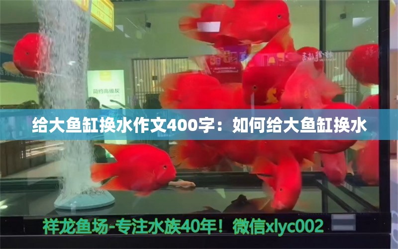 给大鱼缸换水作文400字：如何给大鱼缸换水 鱼缸风水 第2张