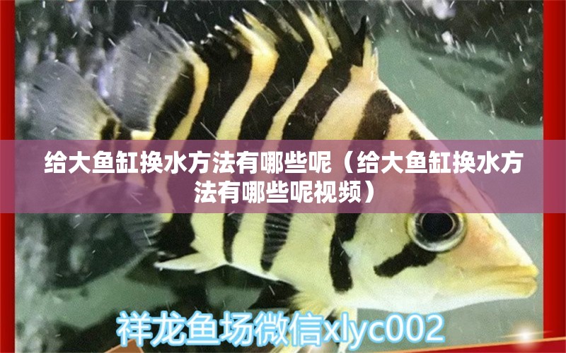 给大鱼缸换水方法有哪些呢（给大鱼缸换水方法有哪些呢视频）