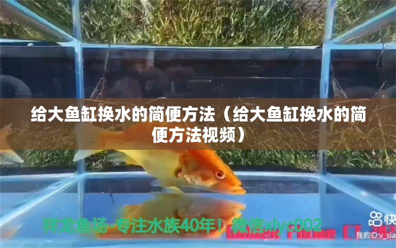 给大鱼缸换水的简便方法（给大鱼缸换水的简便方法视频）