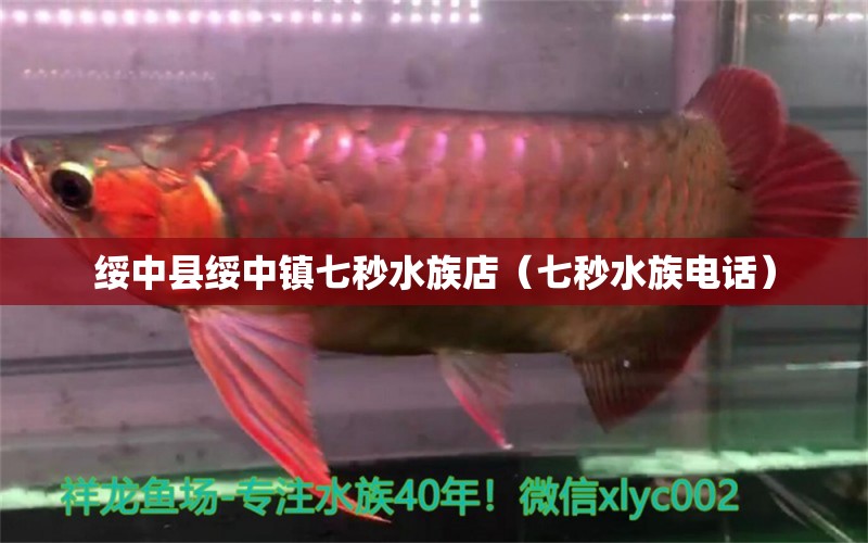 绥中县绥中镇七秒水族店（七秒水族电话）