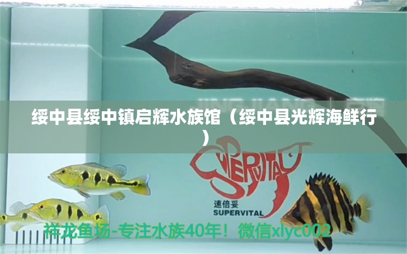 绥中县绥中镇启辉水族馆（绥中县光辉海鲜行）