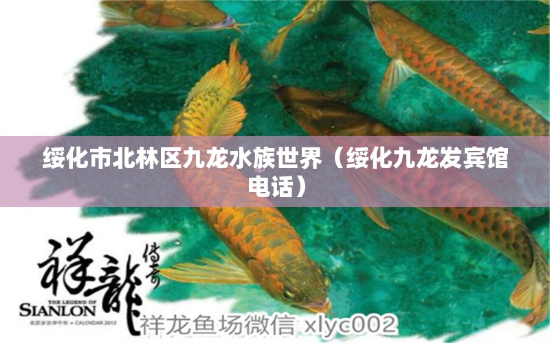 绥化市北林区九龙水族世界（绥化九龙发宾馆电话）