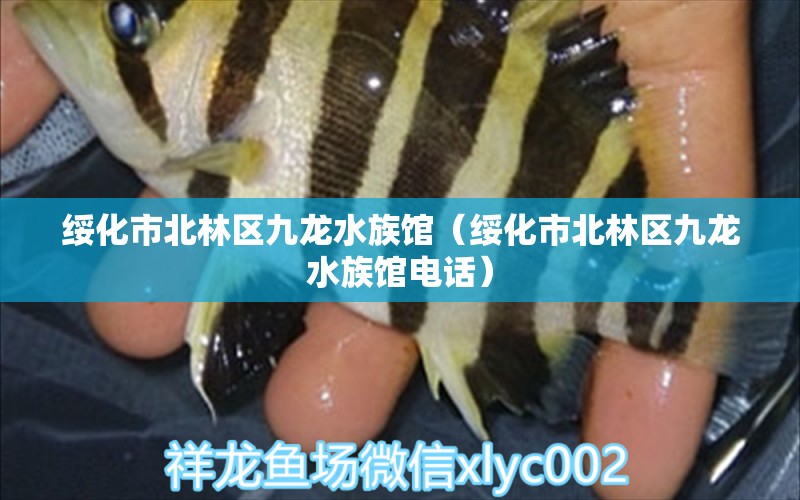 绥化市北林区九龙水族馆（绥化市北林区九龙水族馆电话） 全国水族馆企业名录