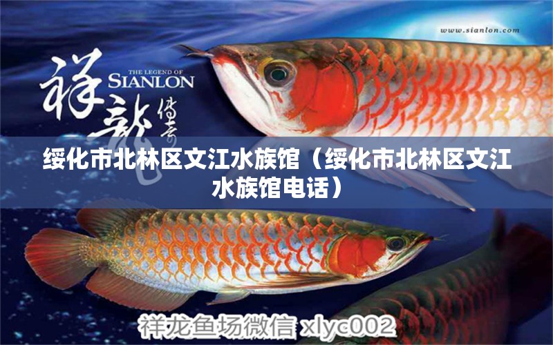 绥化市北林区文江水族馆（绥化市北林区文江水族馆电话）