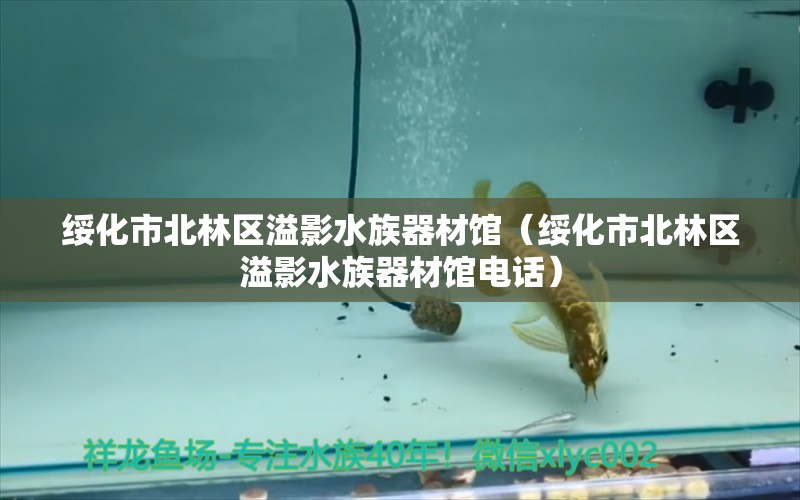 绥化市北林区溢影水族器材馆（绥化市北林区溢影水族器材馆电话） 全国水族馆企业名录