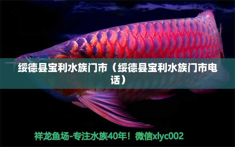 绥德县宝利水族门市（绥德县宝利水族门市电话） 全国水族馆企业名录