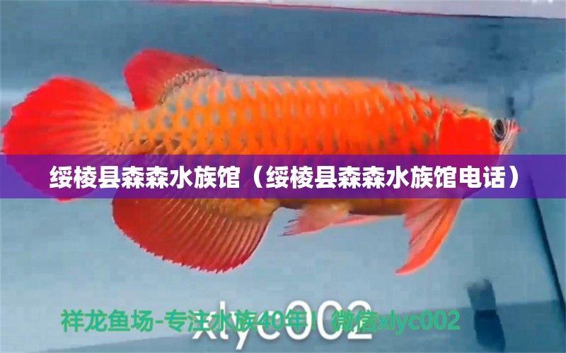 绥棱县森森水族馆（绥棱县森森水族馆电话） 全国水族馆企业名录