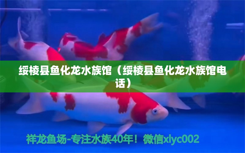 绥棱县鱼化龙水族馆（绥棱县鱼化龙水族馆电话）