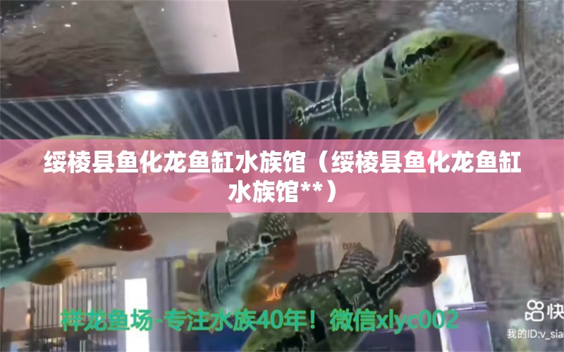 绥棱县鱼化龙鱼缸水族馆（绥棱县鱼化龙鱼缸水族馆**） 全国水族馆企业名录