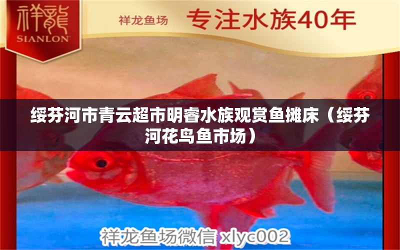 绥芬河市青云超市明睿水族观赏鱼摊床（绥芬河花鸟鱼市场） 全国水族馆企业名录