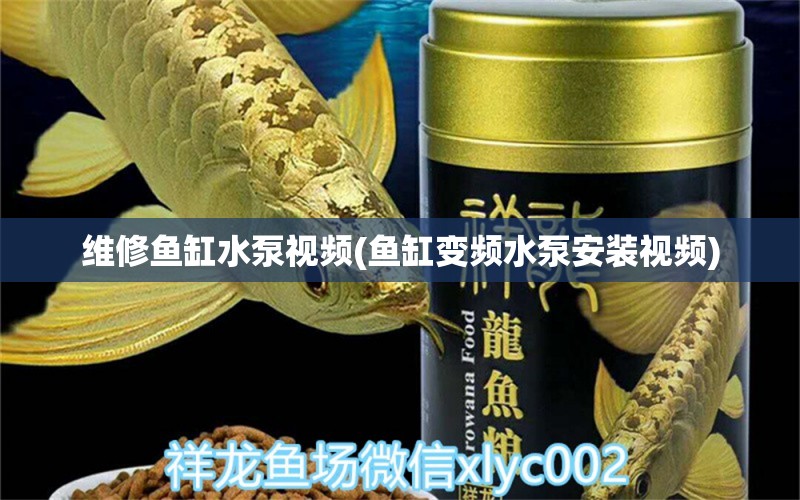 维修鱼缸水泵视频(鱼缸变频水泵安装视频) 鱼缸水泵