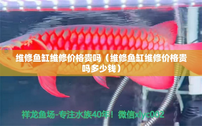 维修鱼缸维修价格贵吗（维修鱼缸维修价格贵吗多少钱） 其他品牌鱼缸