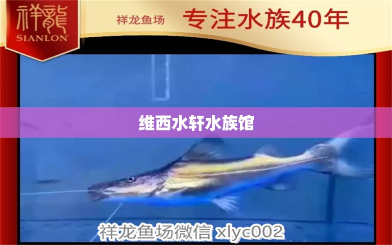 维西水轩水族馆