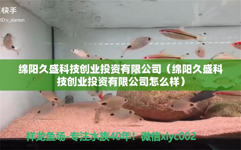 绵阳久盛科技创业投资有限公司（绵阳久盛科技创业投资有限公司怎么样）