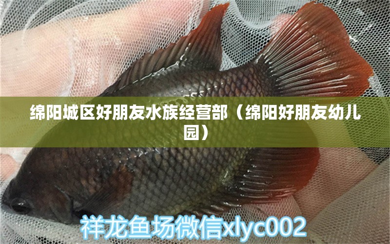 绵阳城区好朋友水族经营部（绵阳好朋友幼儿园）