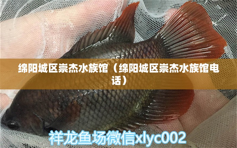 绵阳城区崇杰水族馆（绵阳城区崇杰水族馆电话） 全国水族馆企业名录