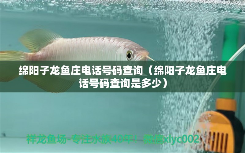 绵阳子龙鱼庄电话号码查询（绵阳子龙鱼庄电话号码查询是多少）