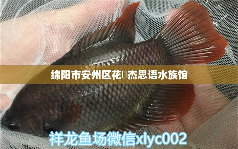 绵阳市安州区花荄杰思语水族馆