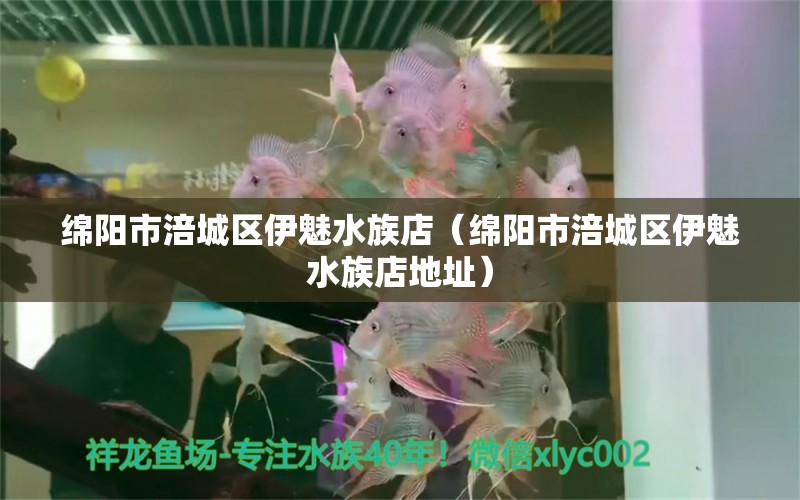 绵阳市涪城区伊魅水族店（绵阳市涪城区伊魅水族店地址） 全国水族馆企业名录