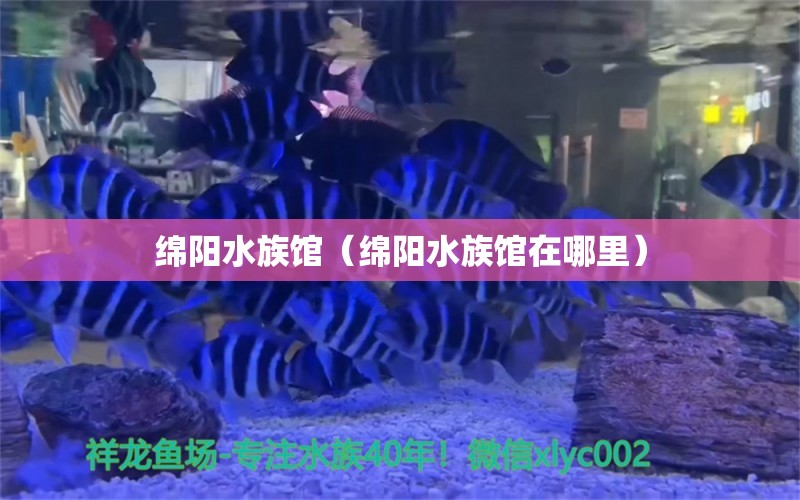 绵阳水族馆（绵阳水族馆在哪里）